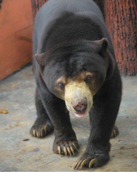 instagram.com/Lembang park and zoo