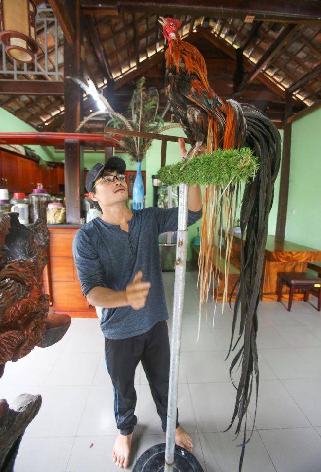baodansinh.vn