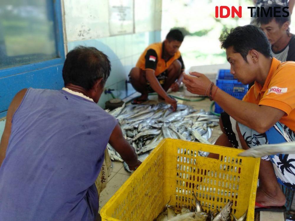Ikan Bawal Laut Sulit Ditangkap, Harga Meroket Hingga Rp300 Ribu/kg