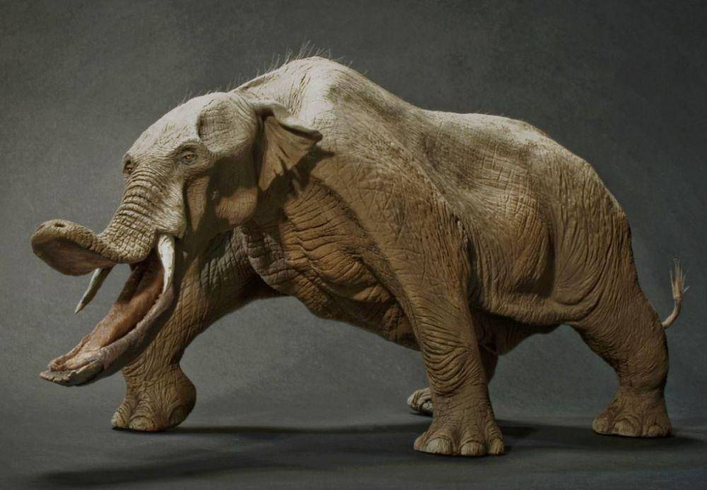 extinctanimals.org