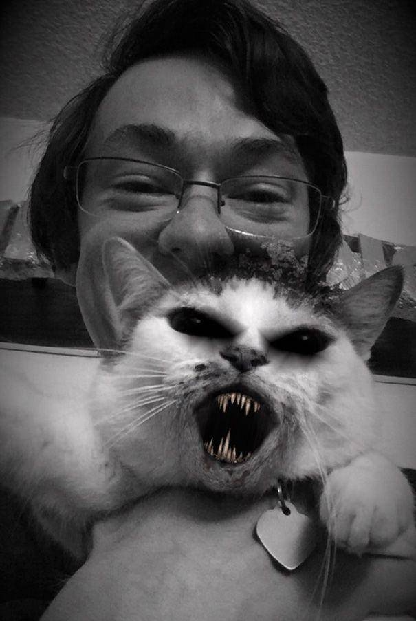 purrtacular.com