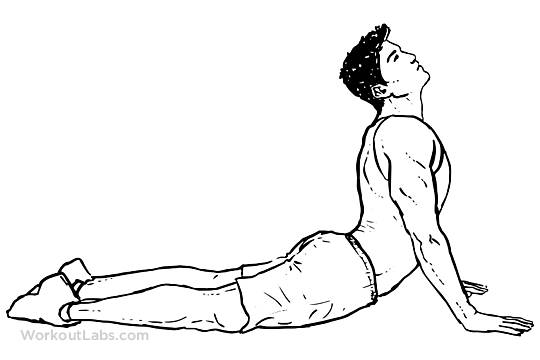 workoutlabs.com