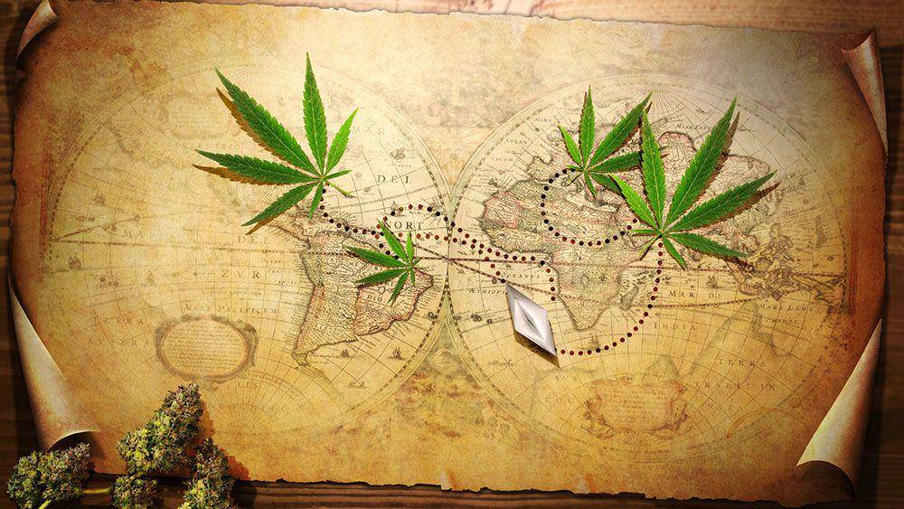 greencamp.com