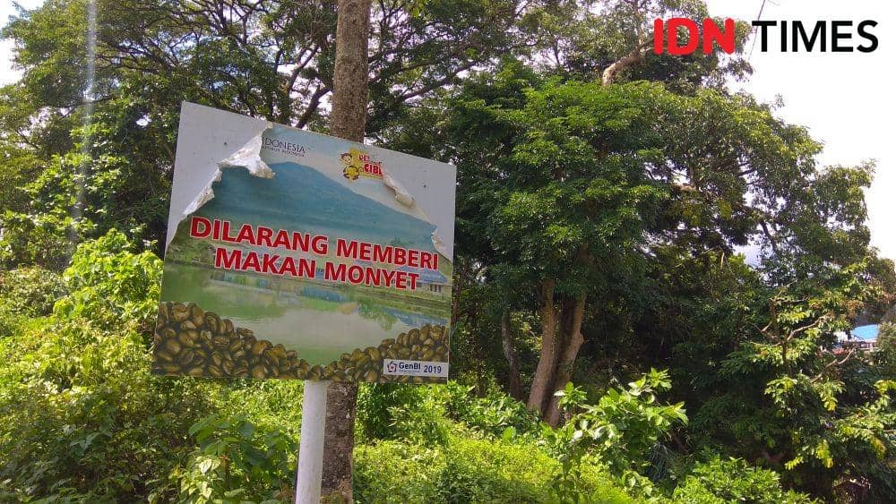 Papan tulisan dilarang memberi makan monyet. (IDN Times/Wildan Ibnu)