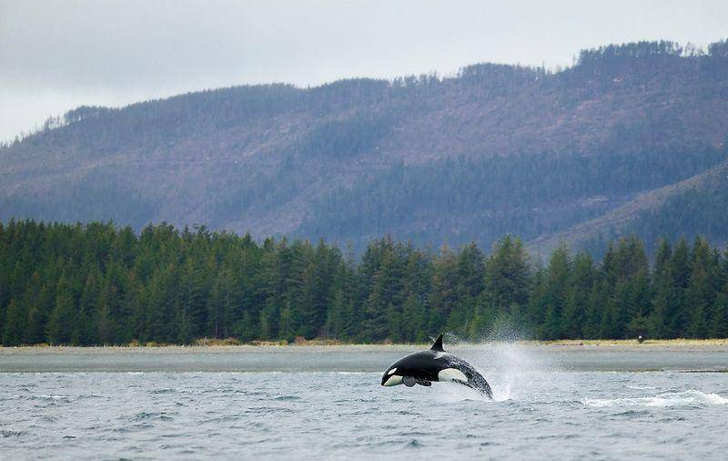 alaskaphotographics.com