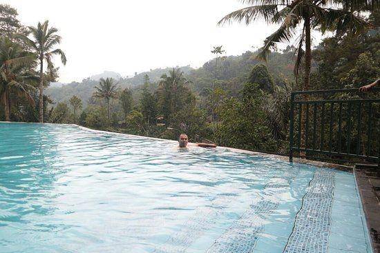 tripadvisor.co.za