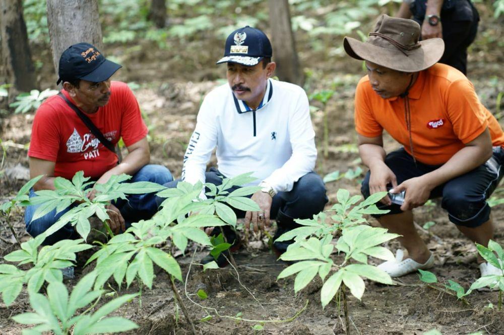 IDN Times/Dok. Humas Pemkab Pati