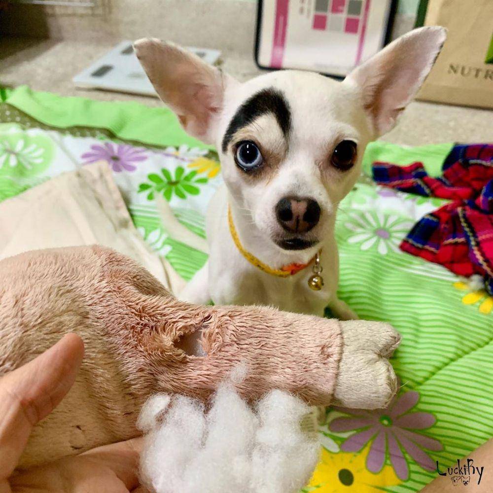 instagram.com/luckiry