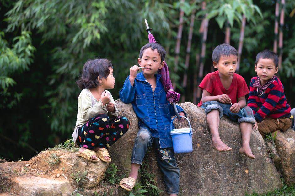 pexels.com/Quang Nguyen Vinh