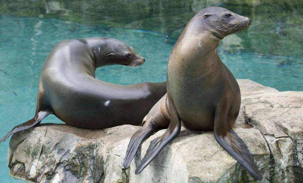 nationalzoo.si.edu