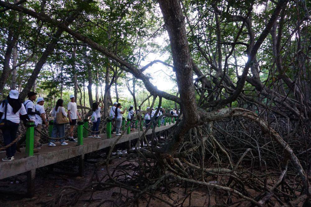 Para pemuda bersama The Climate Reality Project Indonesia saat mengunjungi kawasan konservasi mangrove di Taman Nasional Baluran. IDN Times/Mohamad Ulil Albab