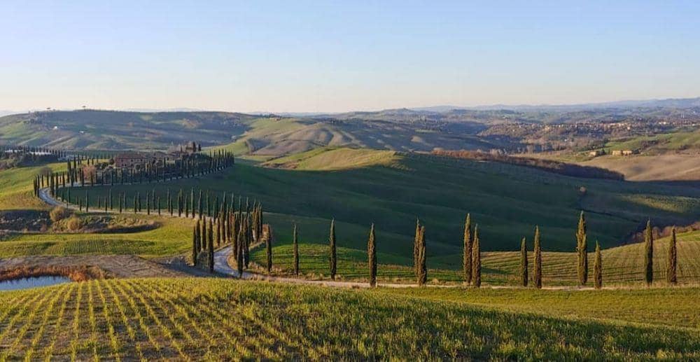 10 Potret Panorama Val d'Orcia, Pesona Alam nan Indah di Italia