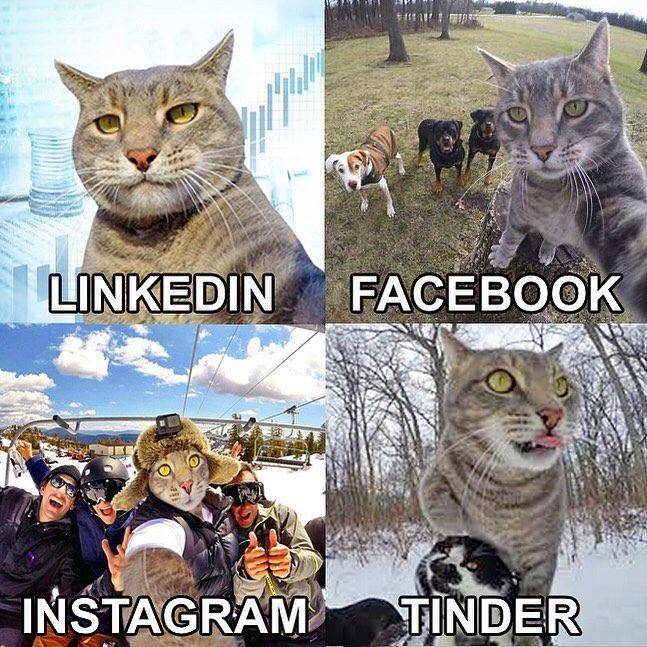 Instagram.com/yoremahm/