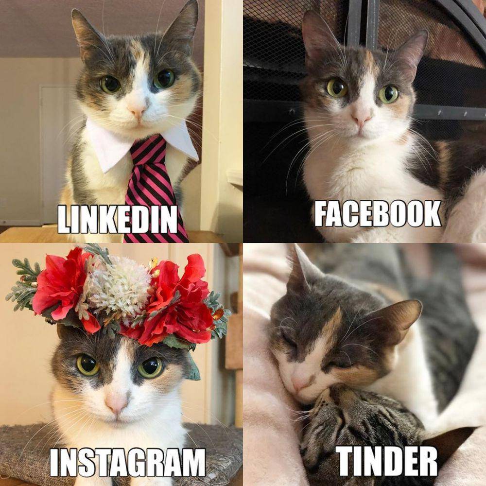Instagram.com/parkerandlily/