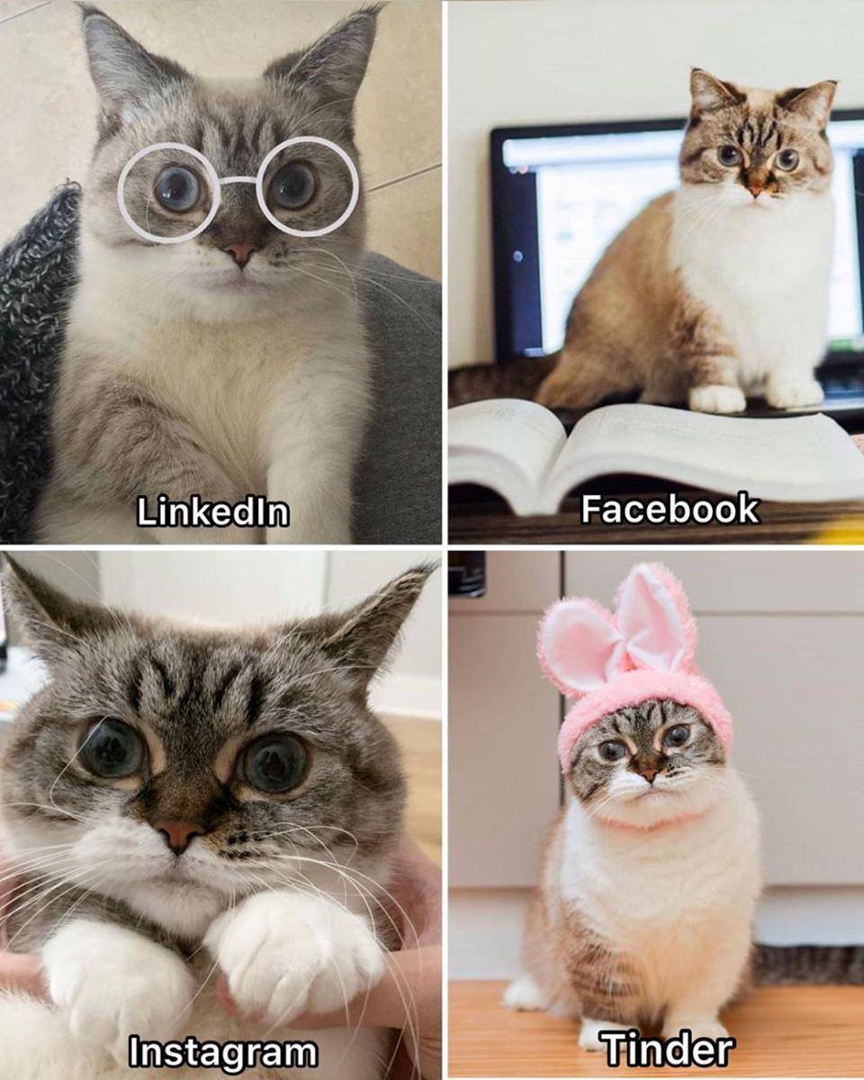 Instagram.com/littlemunchiepooky/