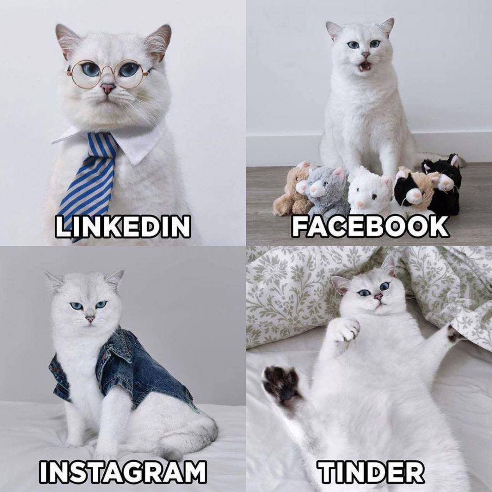 Instagram.com/lolo_my_caty/