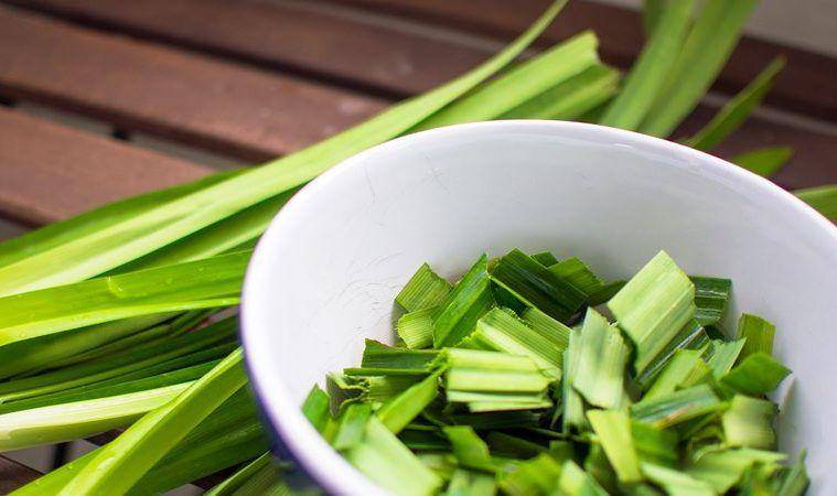 15healthbenefits.com