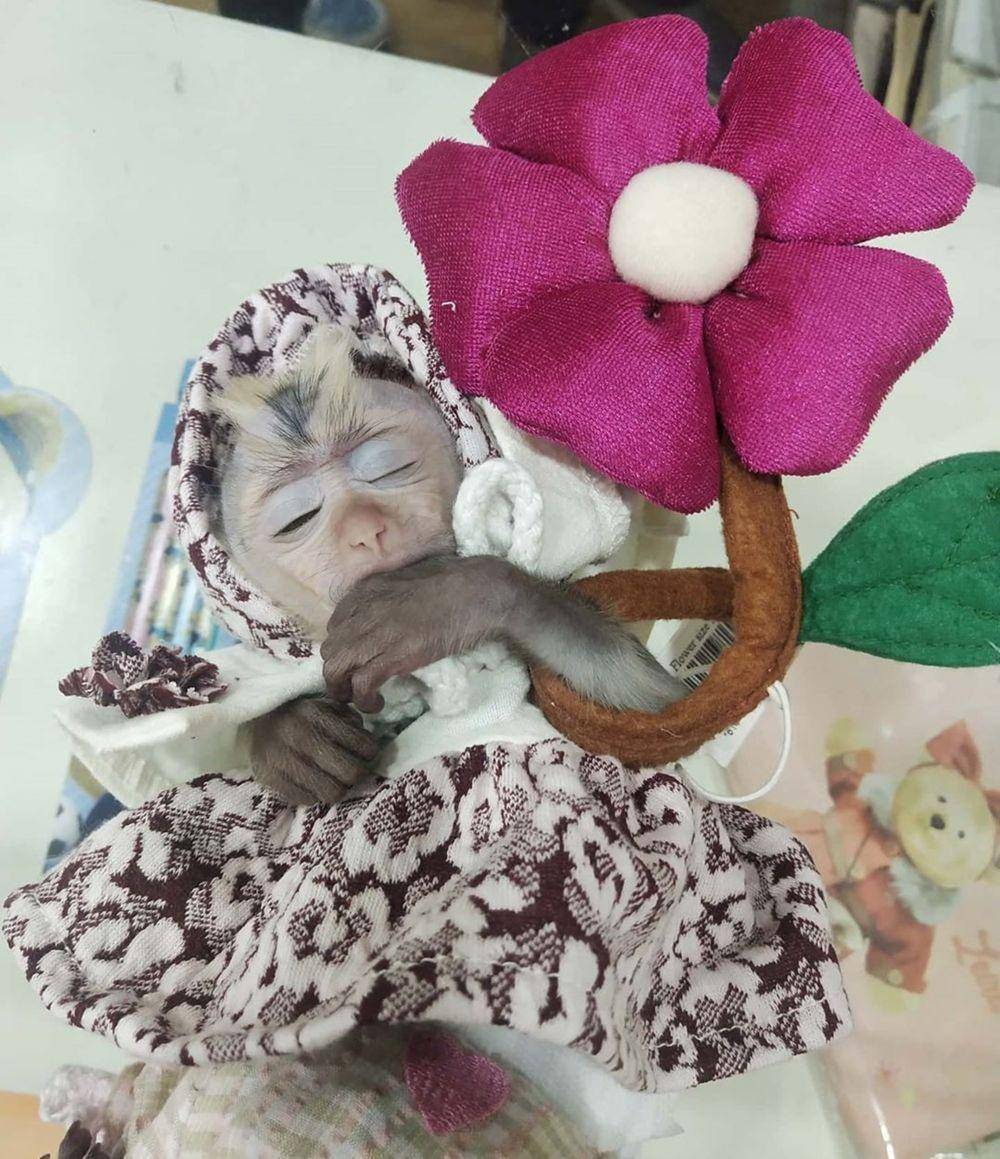 Instagram.com/candylaura2019/