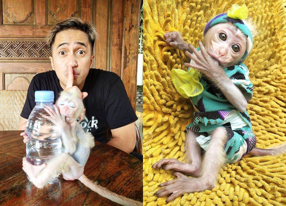 Berbagai Sumber