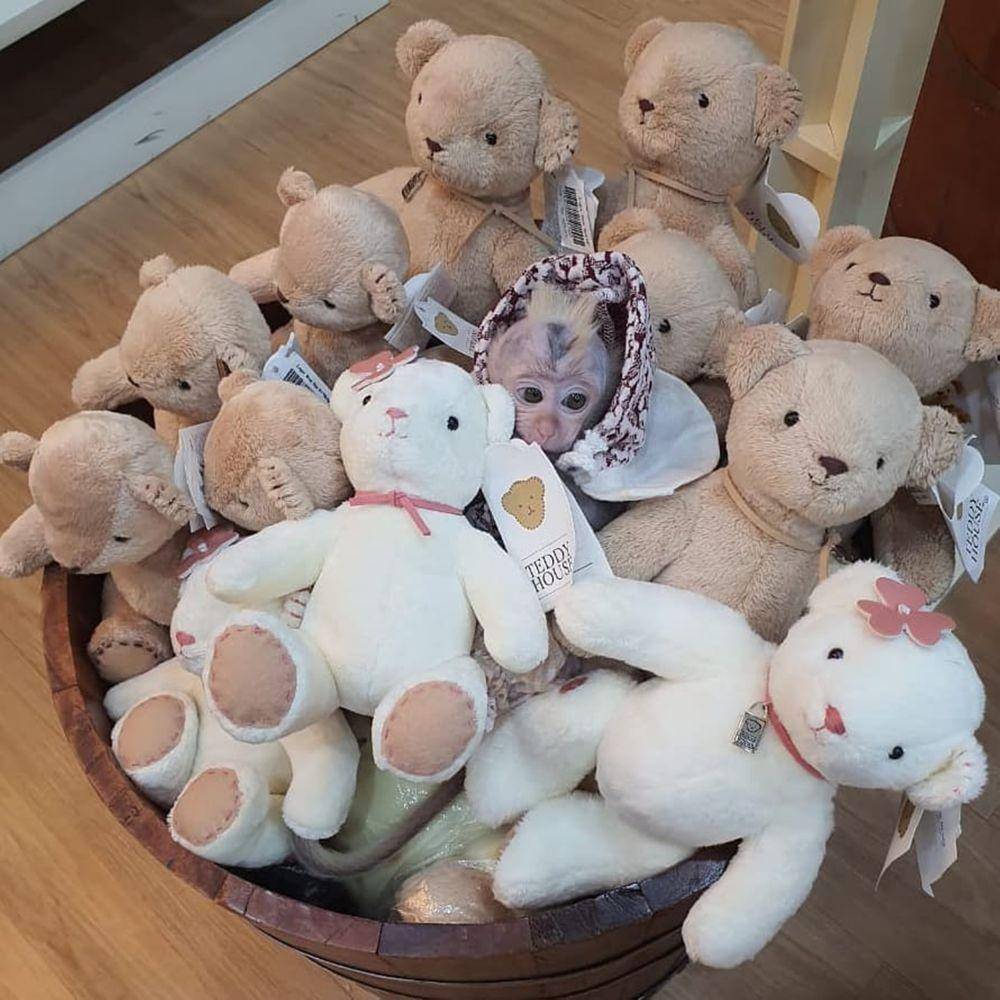 Instagram.com/candylaura2019/