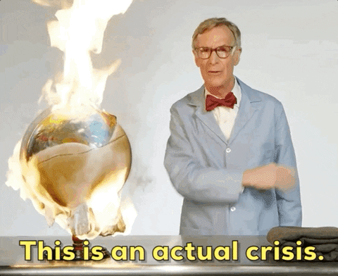 giphy.com