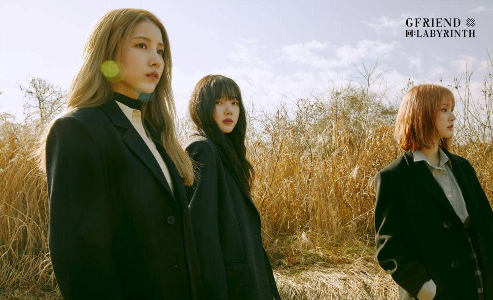 Twitter.com/GFRDofficial