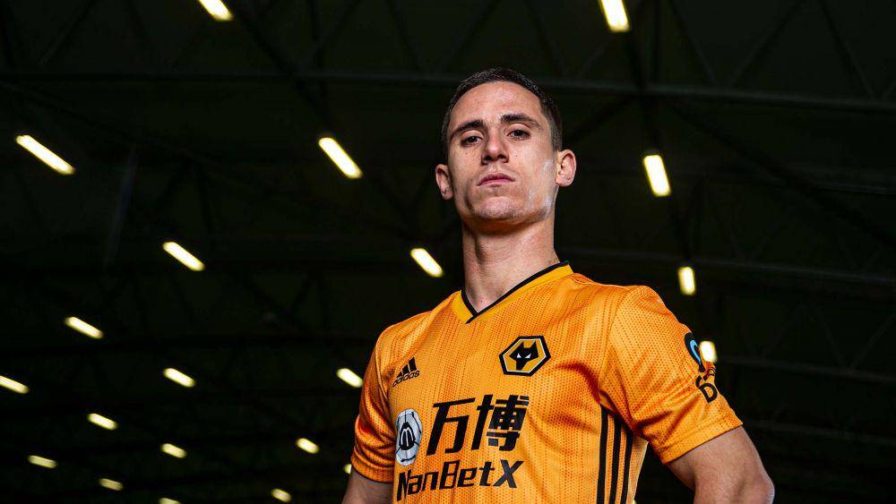 wolves.co.uk