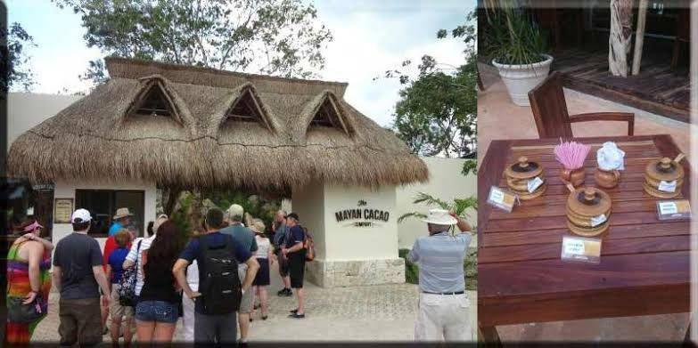 cozumelmexico.net