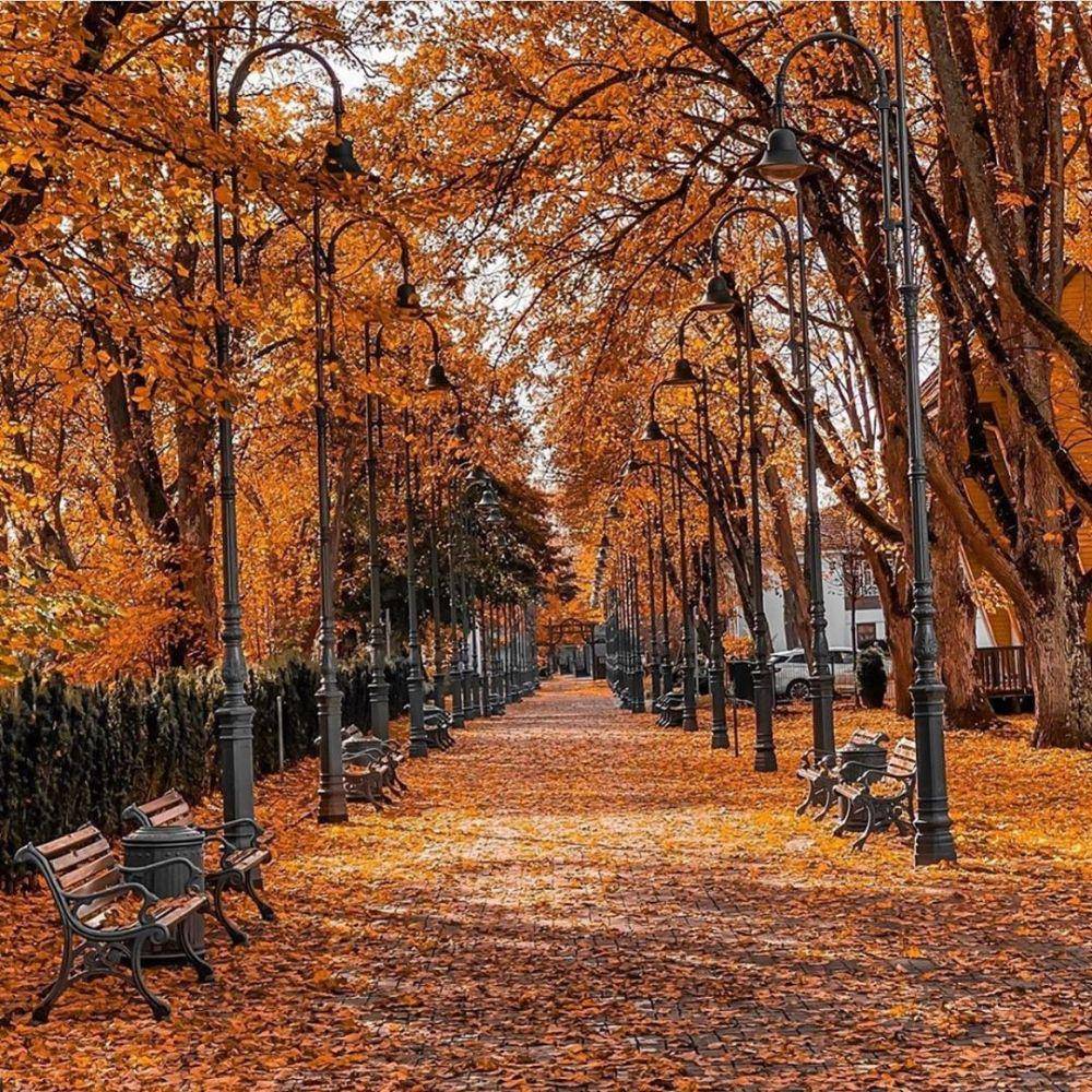instagram.com/visitpalanga
