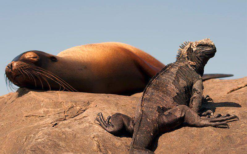 galapagosislands.com