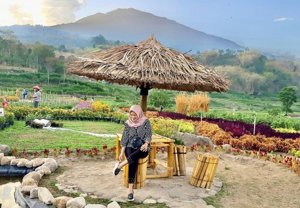 Kebun Bunga Refugia Magetan: Rute, Lokasi, Tips Wisata
