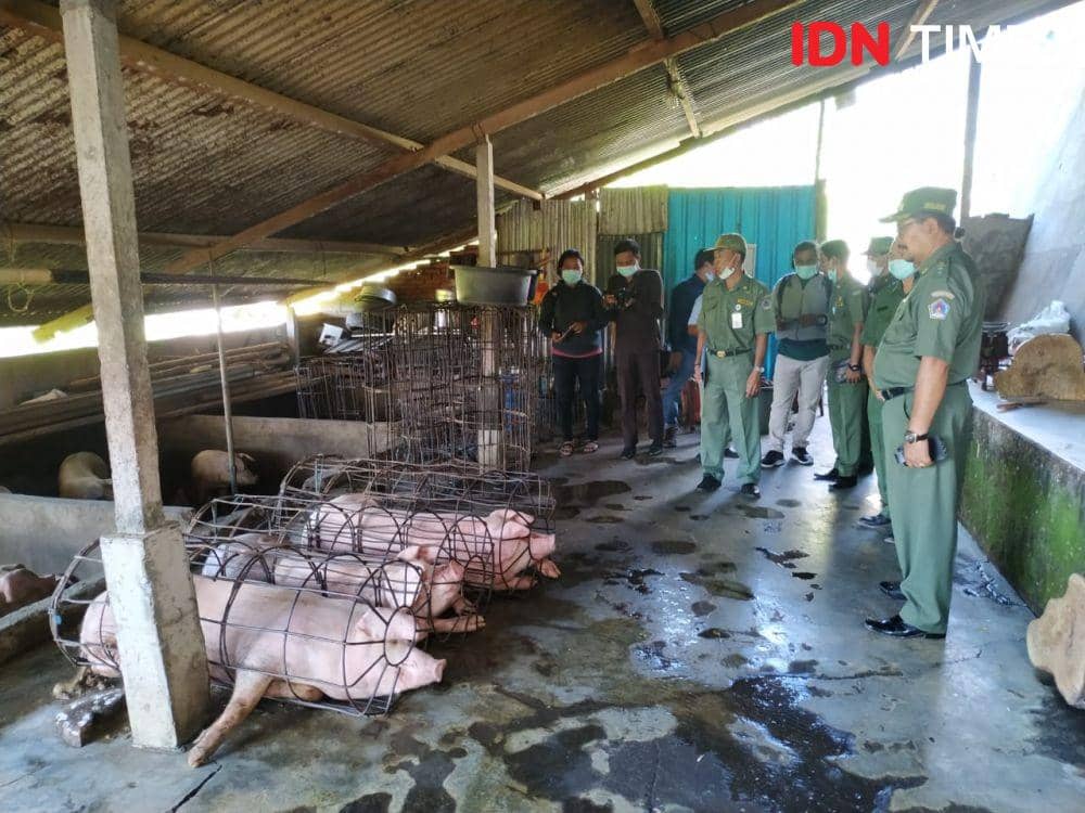 IDN Times/Wayan Antara