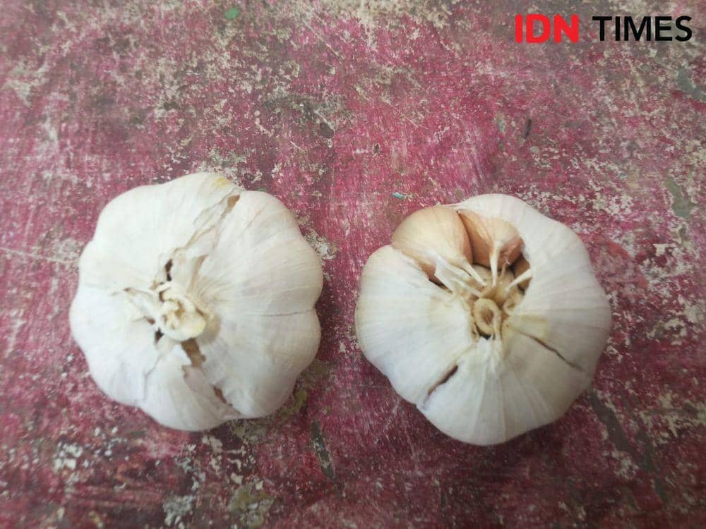 Bawang putih. IDN Times/Irma Yudistirani