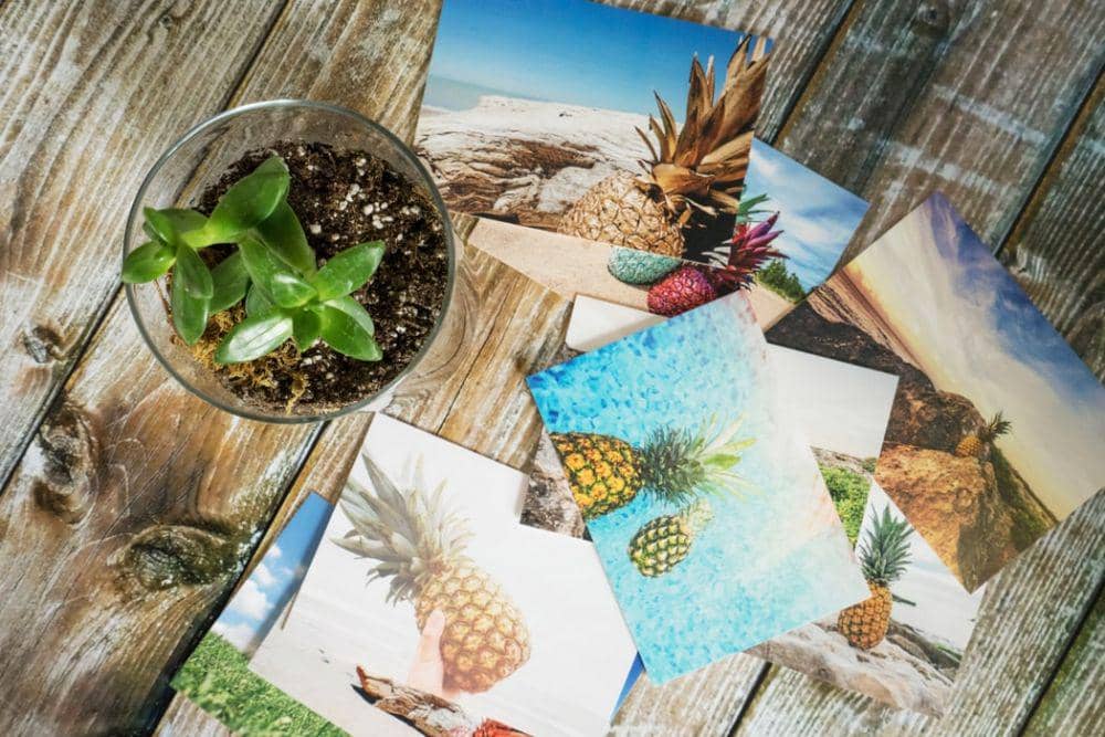 unsplash.com/@pineapple