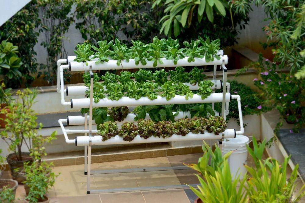 futurefarms.in