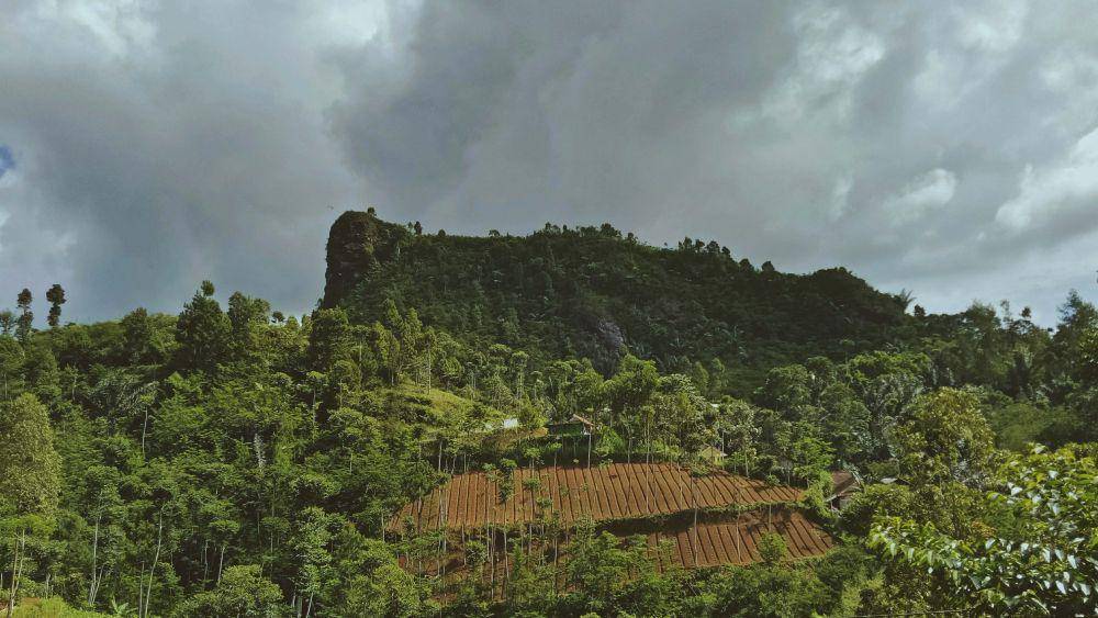 Dok.Pribadi/Dhifa Syaumy Dessyana