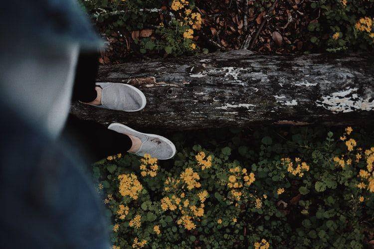 unsplash/Amy Humphries