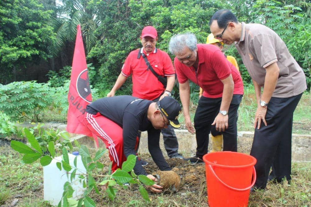 Plt Wali Kota Medan Akhyar Nasution dan PDIP Sumut tanam pohon (Dok.IDN Times/istimewa)