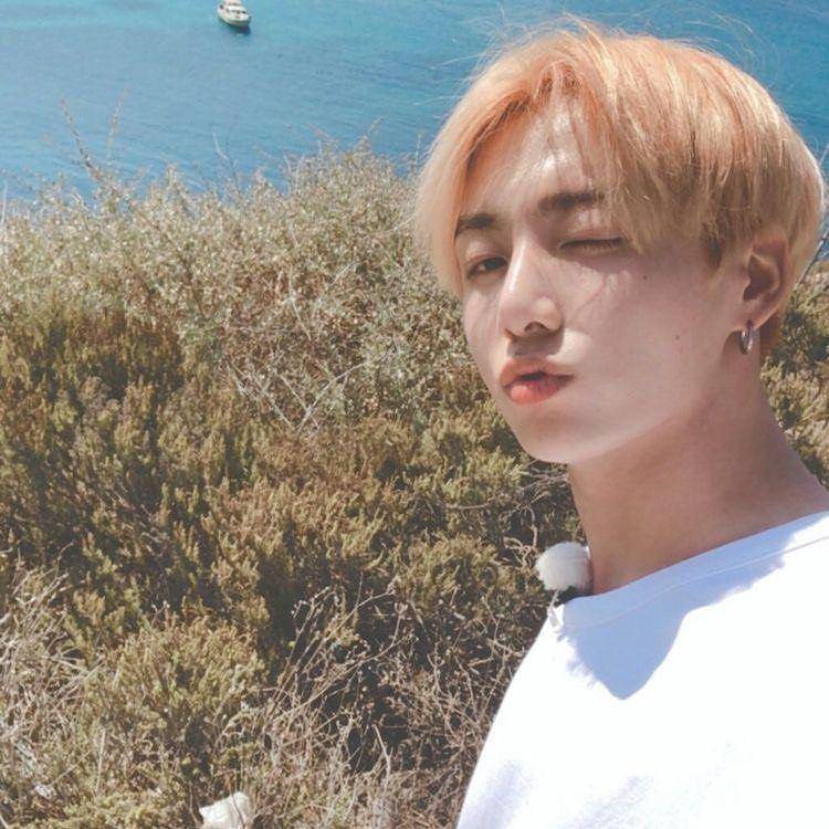 Instagram.com/jungkookbts