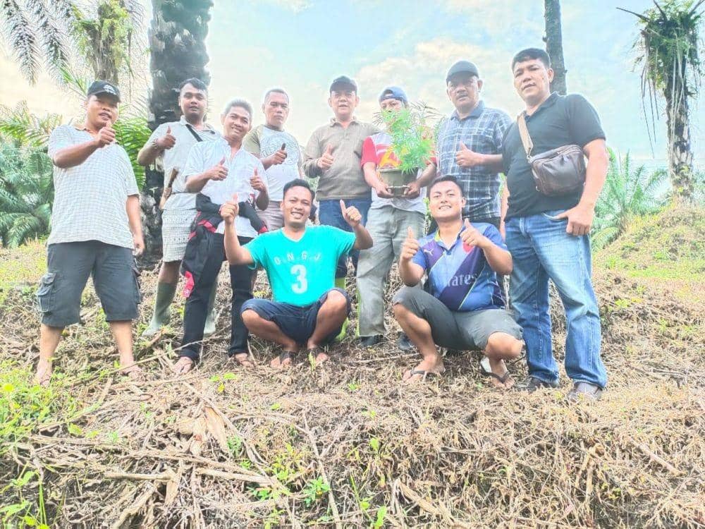 Nekat Tanam Ganja di Ladang, Seorang Petani Ditangkap Polisi