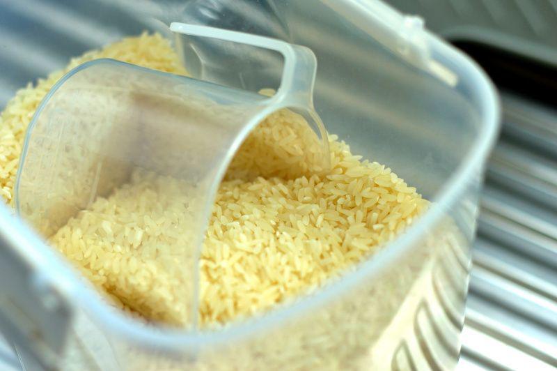 10 Cara Menyimpan Beras agar Tidak Berkutu dan Berulat