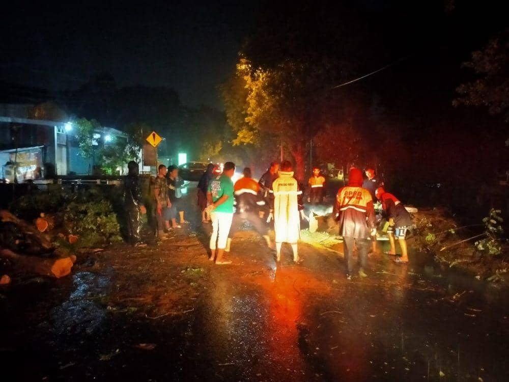 Agus Tiba-tiba Tertimpa Pohon Saat Sedang Berkendara di Jalanan Kudus