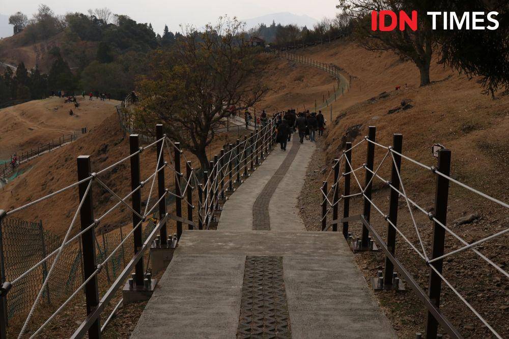 Qingjing Farm di Taichung, Taiwan (IDN Times/Vanny El Rahman)