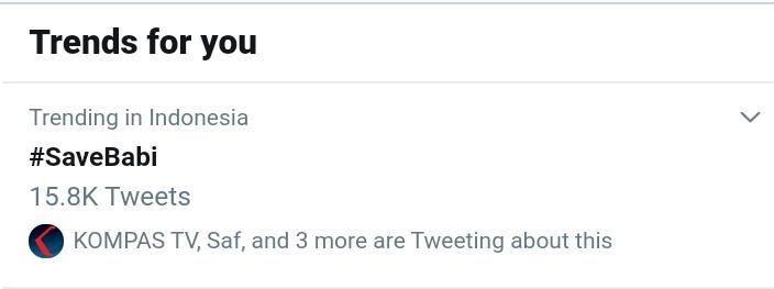 Lawan Upaya Pemprov Sumut, Tagar #SaveBabi Jadi Trending Topic Twitter