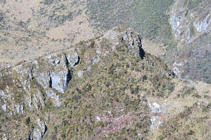 Puing-puing diduga bagian Helikopter MI 17 (ANTARA FOTO)