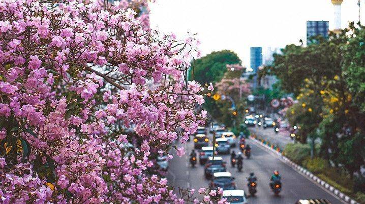 Instagram/surabaya