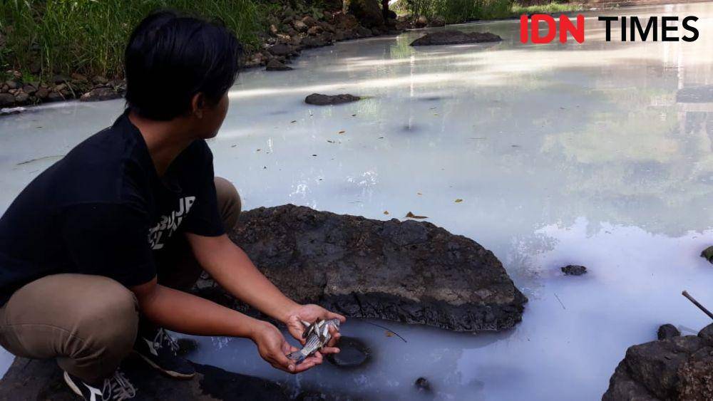 Aliran sungai tercemar, ribuan ikan di Sungai Ngrancah mati dan sekarat. IDN Times/Daruwaskita