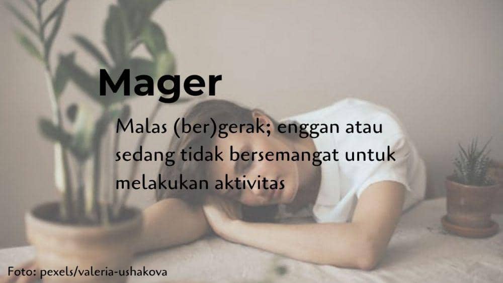 IDN Times/Dewa Putu Ardita