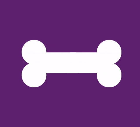 giphy.com