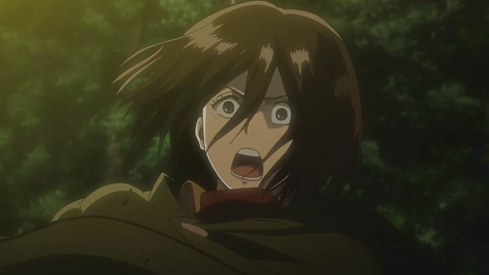 attackontitan.fandom.com